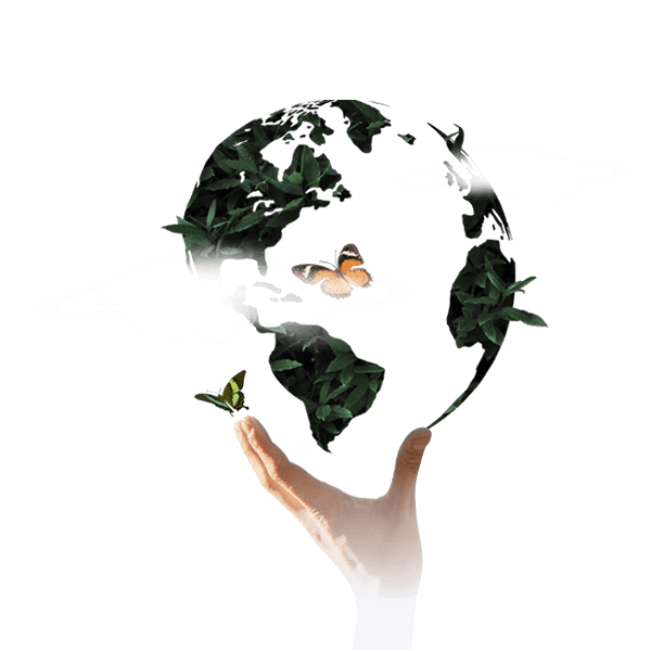 Beneficios de nuestros programas